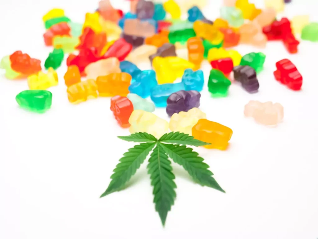 The image is a creative and colorful display featuring an array of multicolored gummy candies scattered across a white surface, with a sharp focus on a single, vivid green cannabis leaf prominently placed in the center. The leaf, with its distinct serrated edges, stands out against the blurred background of sweets, which come in various shapes, such as bears and worms, representing a diverse mix of flavors. This setup might suggest a connection between the gummies and the flavor or essence derived from the cannabis plant.