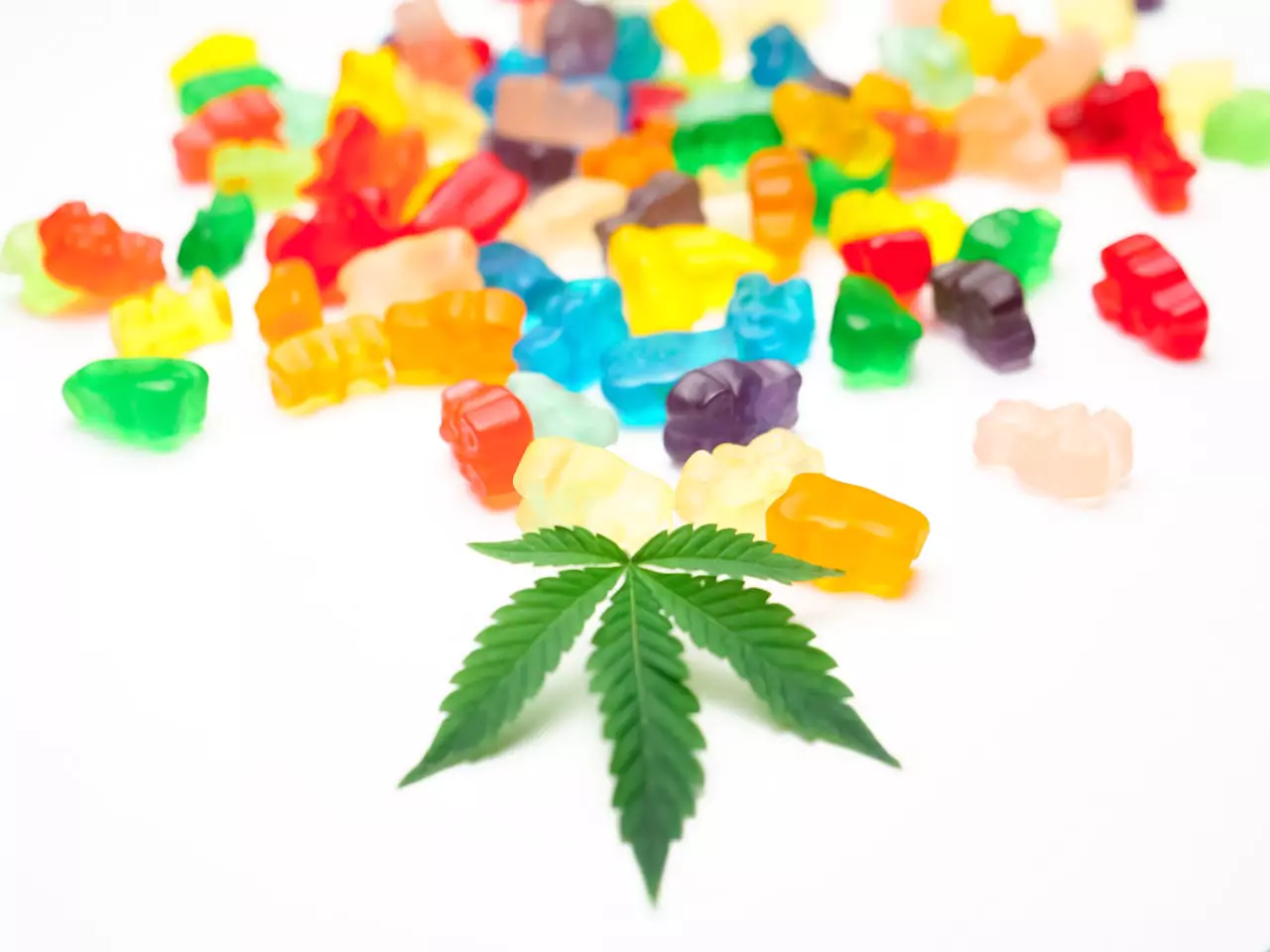 The image is a creative and colorful display featuring an array of multicolored gummy candies scattered across a white surface, with a sharp focus on a single, vivid green cannabis leaf prominently placed in the center. The leaf, with its distinct serrated edges, stands out against the blurred background of sweets, which come in various shapes, such as bears and worms, representing a diverse mix of flavors. This setup might suggest a connection between the gummies and the flavor or essence derived from the cannabis plant.
