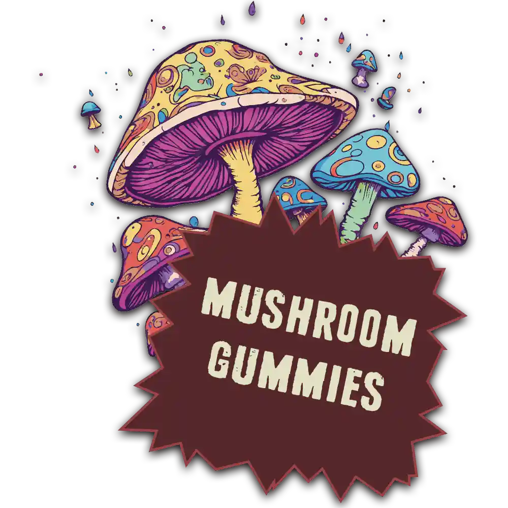 The image features an artistic and colorful illustration of various mushrooms with a whimsical and vibrant design. In the foreground, a large mushroom with a detailed, gilled underside and a cap adorned with intricate patterns in yellow, green, and blue stands out. Surrounding it are smaller mushrooms, each with their unique patterns and bright colors such as blue, red, and orange. Above the mushrooms, against a dark background speckled with lighter spots resembling a starry sky, the words "MUSHROOM GUMMIES" are written in a bold, white font inside a brown, jagged, starburst-style shape, suggesting this may be an advertisement for a whimsical, possibly fantasy-themed candy product.